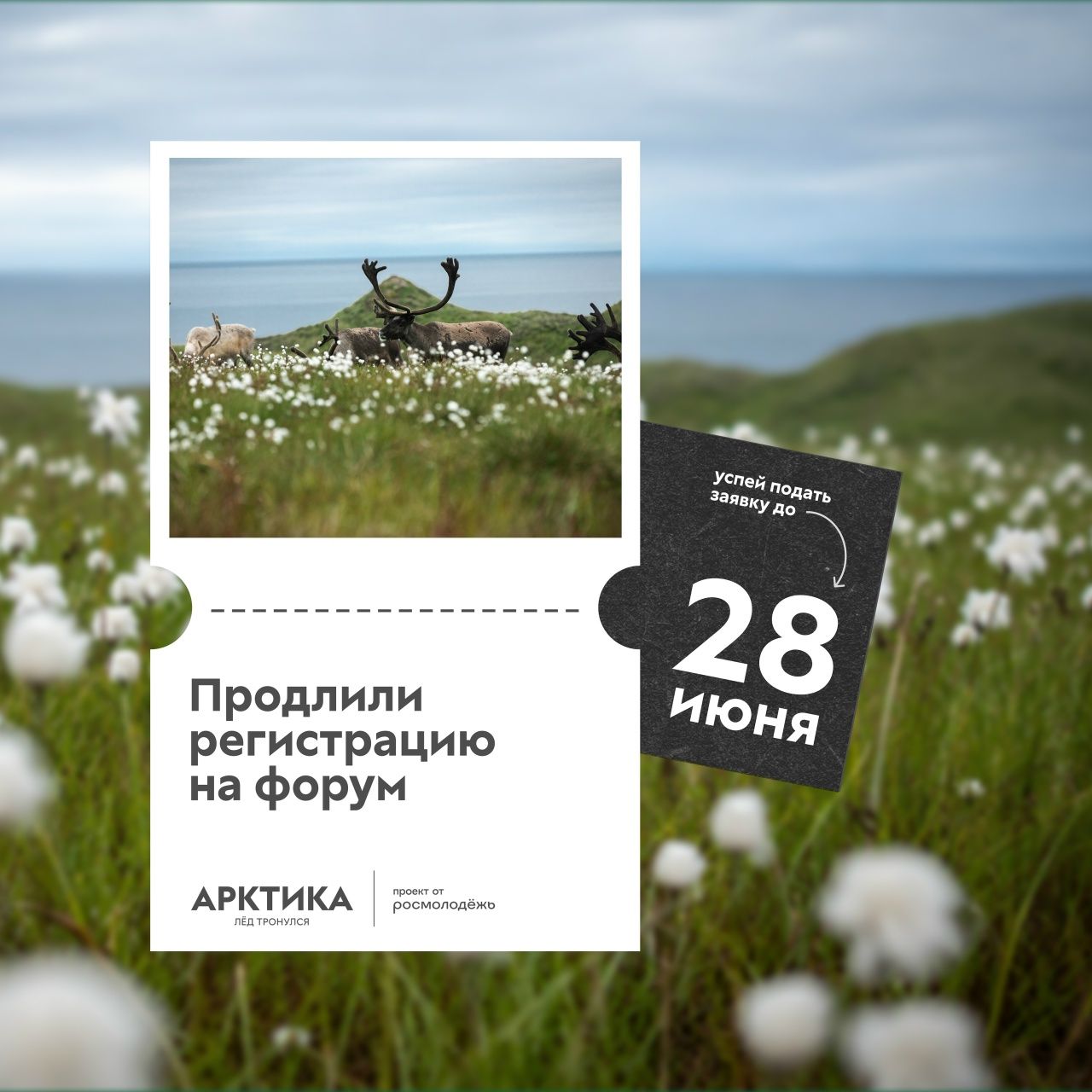 Не упусти свой шанс стать частью главного молодёжного события лета!