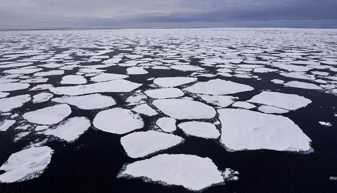 В арктических морях началось ледообразование