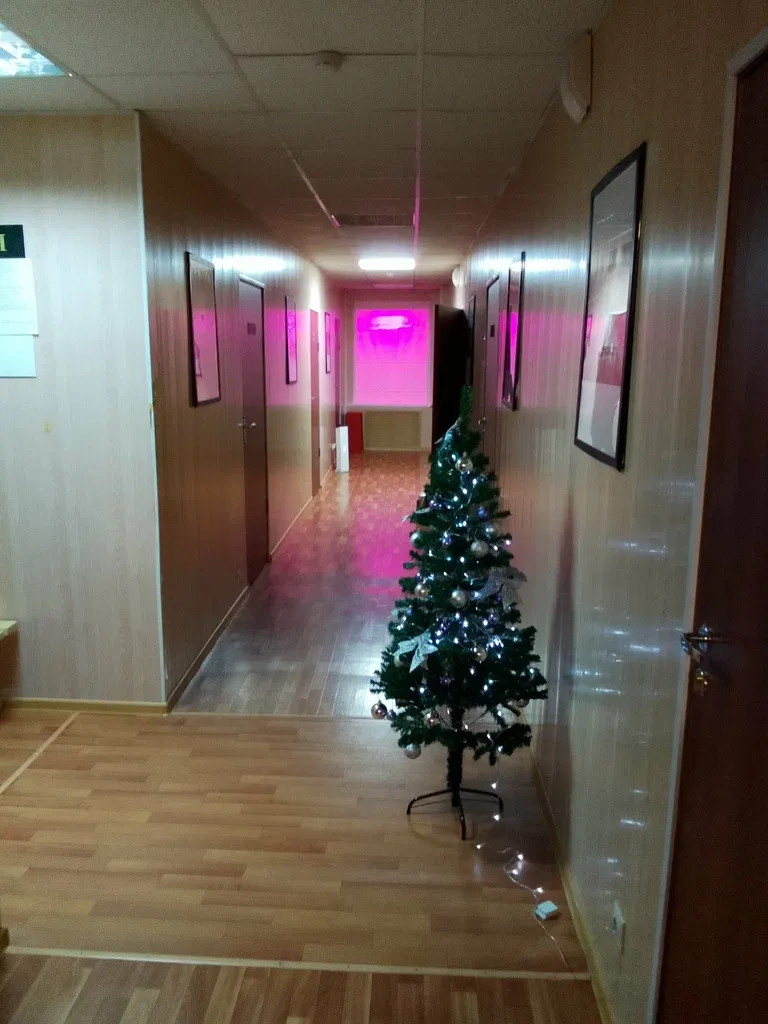 Агат