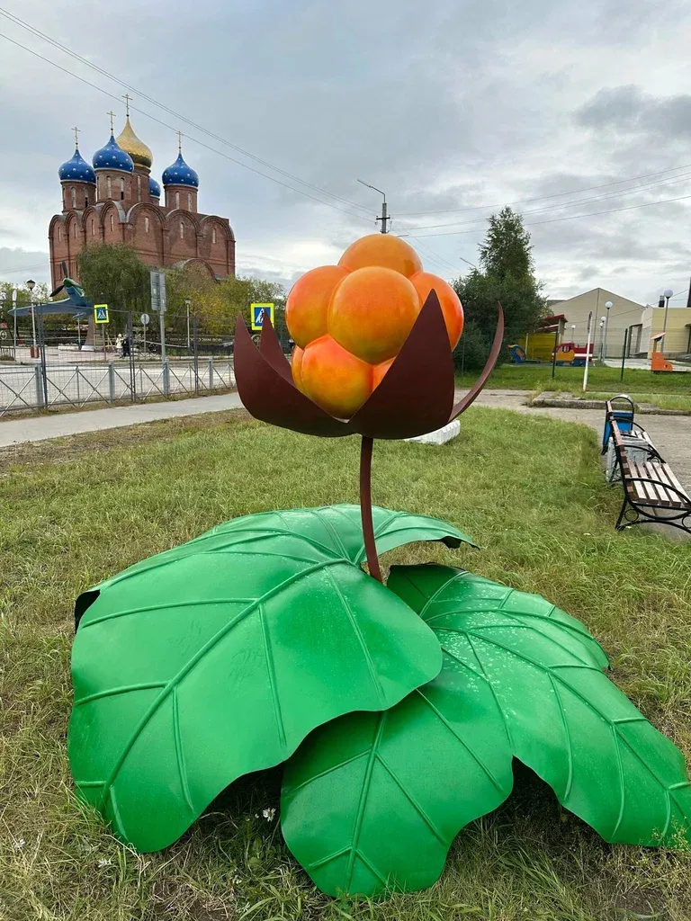 Морошка