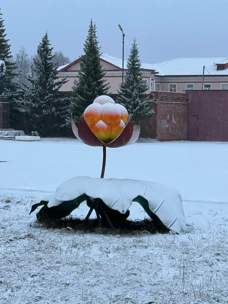 Морошка