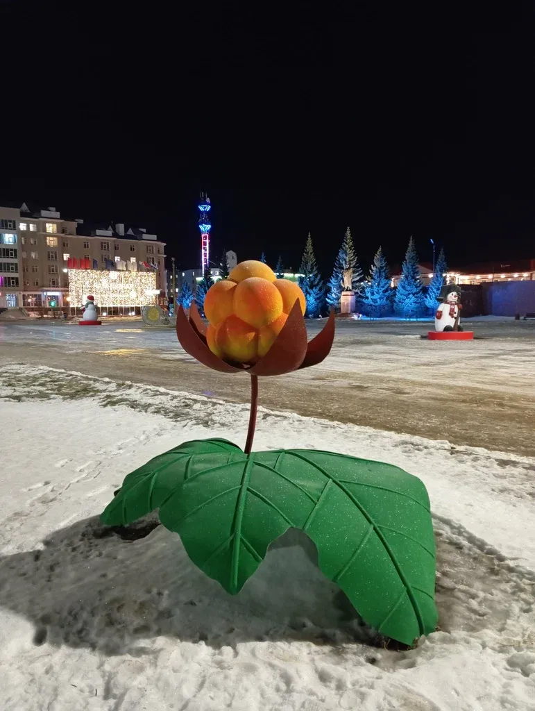 Морошка