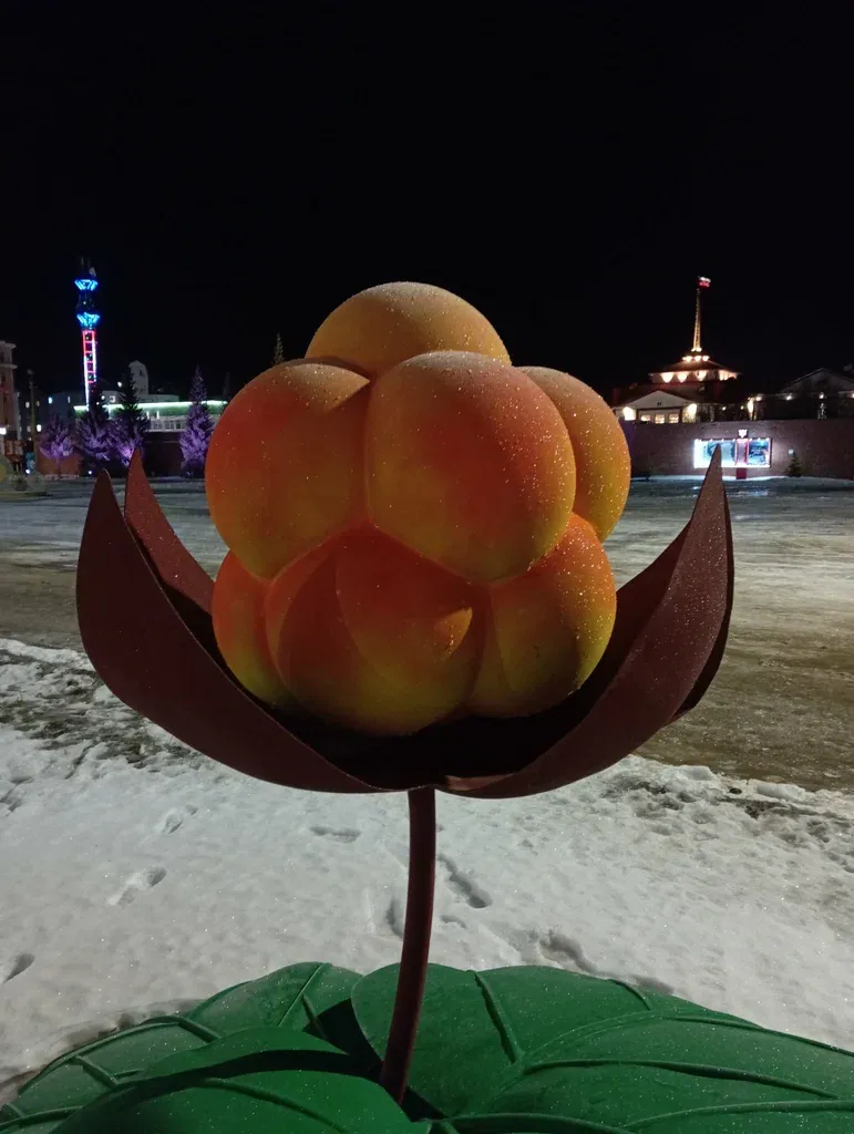 Морошка
