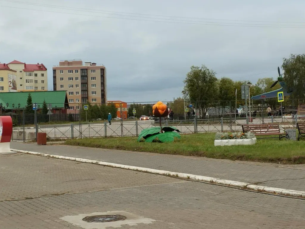 Морошка