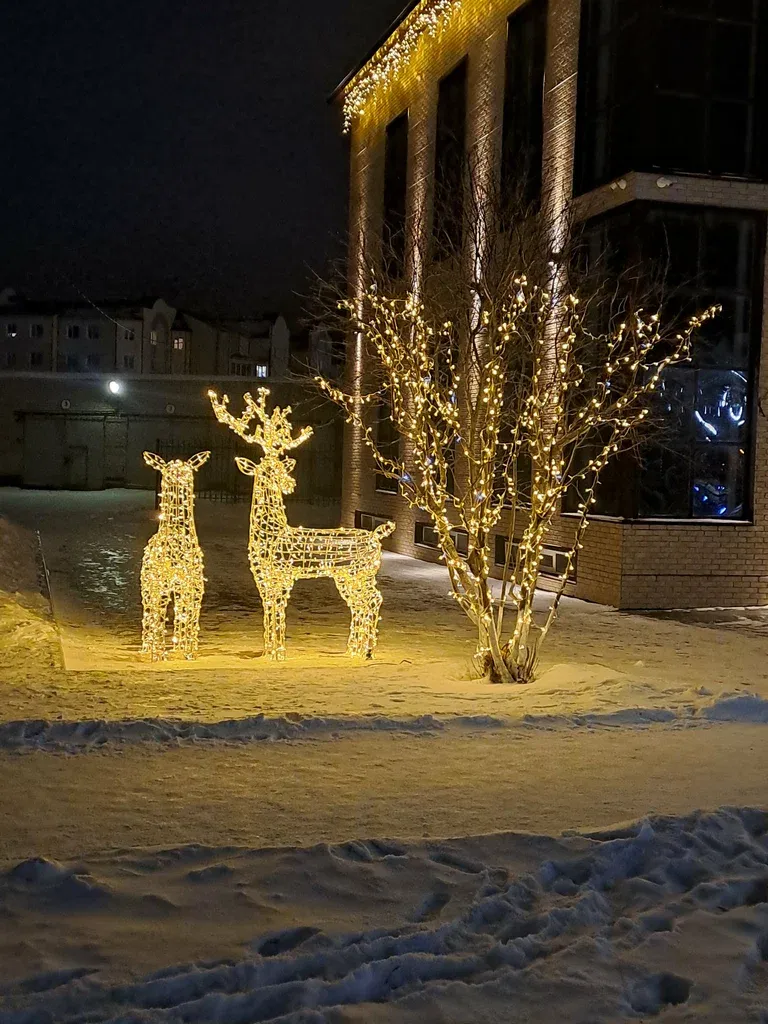 Олени
