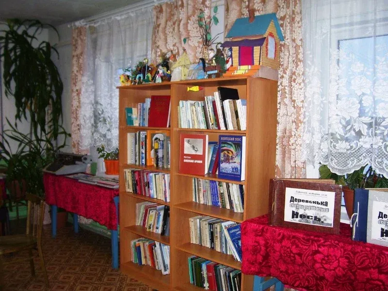 Сельская библиотека