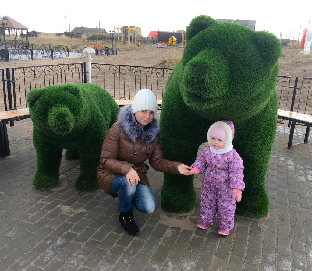 Медведи
